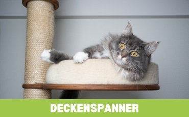 Deckenspanner Startseite