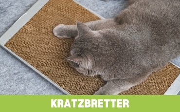 Kratzbretter Startseite