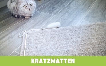 Kratzmatten Startseite